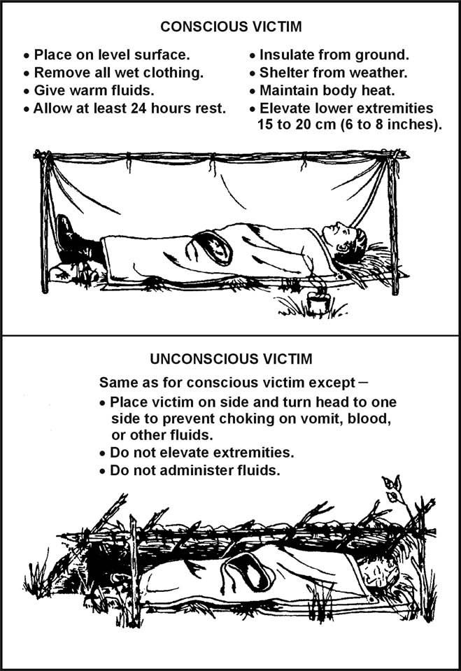 Figure 4-5. Treatment for Shock