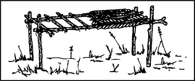 Figure 5-10. Swamp Bed