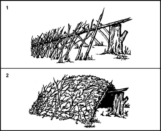 Figure 5-11. Debris Hut