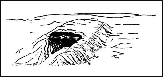 Figure 5-13. Beach Shade Shelter