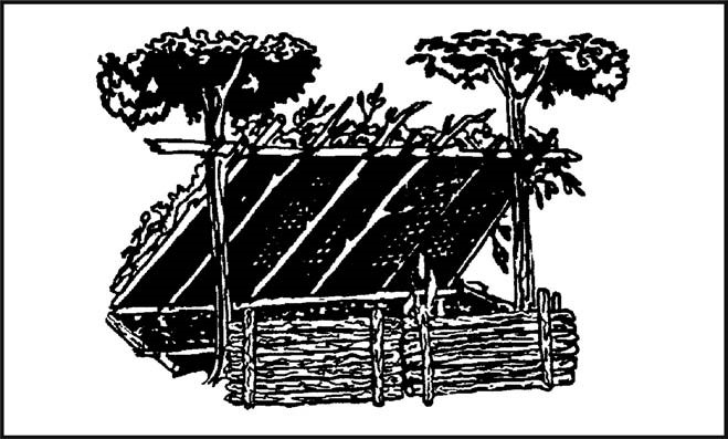 Figure 5-9. Field-Expedient Lean-to and Fire Reflector