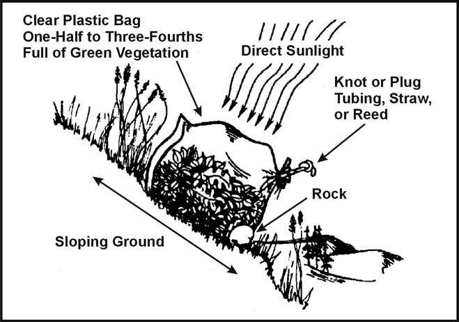 Figure 6-6. Vegetation Bag Still