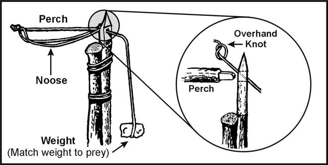 Figure 8-10. Ojibwa Bird Pole
