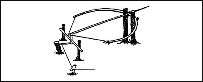 Figure 8-15. Bow Trap