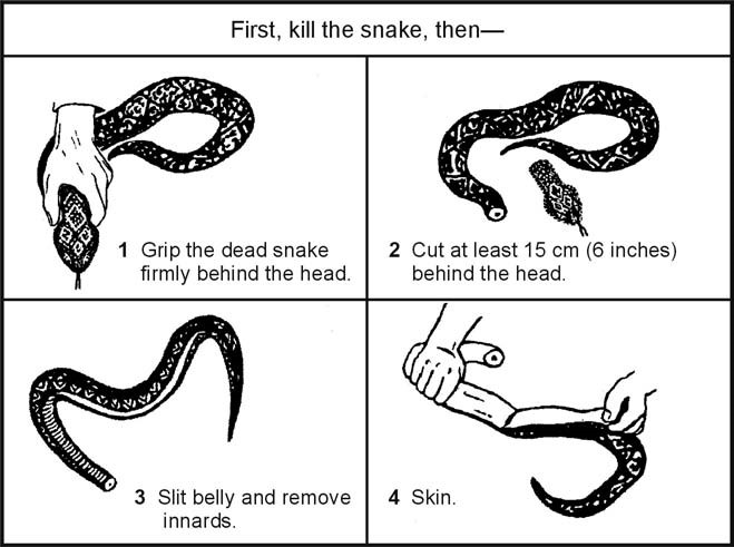 Figure 8-25. Cleaning a Snake