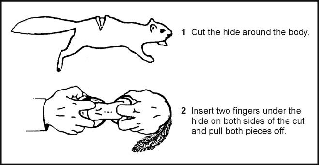 Figure 8-27. Skinning Small Game